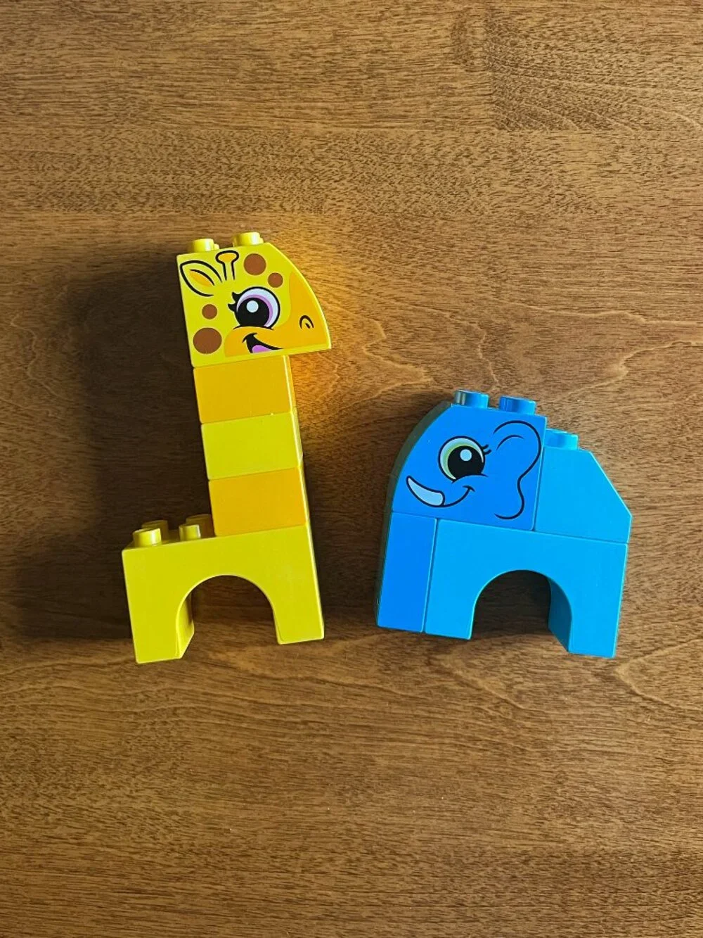 Lego duplo building